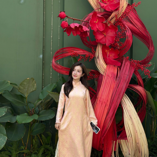 Dự án tiêu biểu